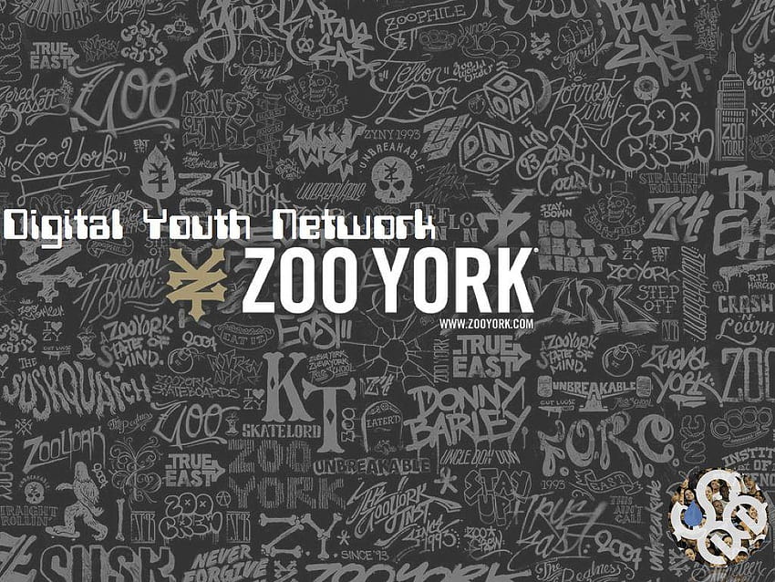 SEE: iDesign Change Project • Mock Ads for Zoo York based on Research, zooyork HD wallpaper