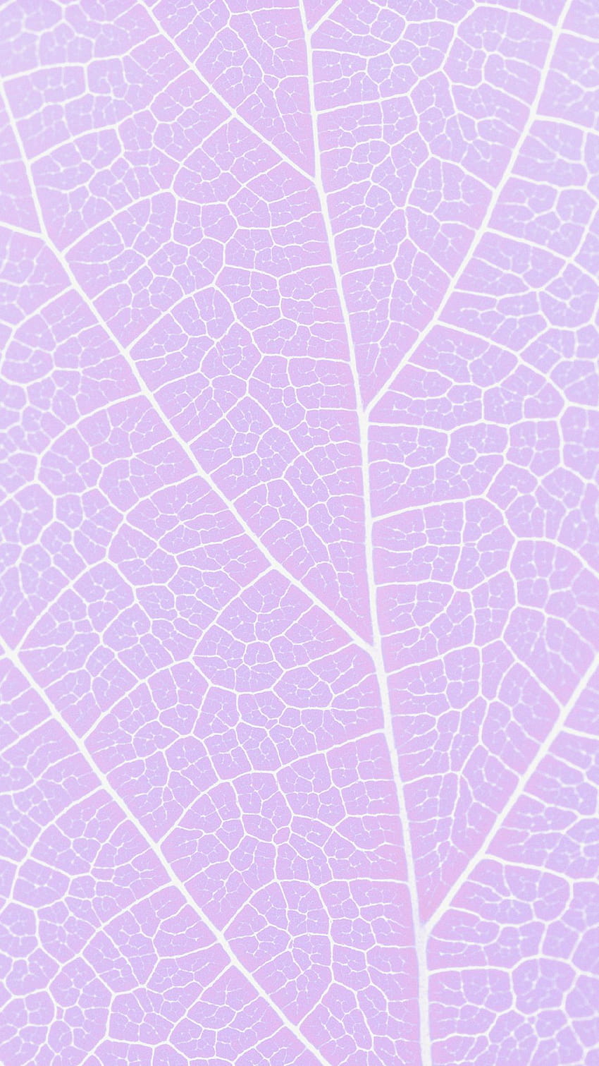 Mustervene Lila, ungu tumblr HD-Handy-Hintergrundbild