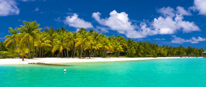 2560x1080 лято, малдиви, тропически, плаж, палми двоен широк фон HD тапет