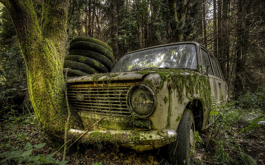 : trees, forest, leaves, nature, abandoned, branch, moss, LADA, wreck, rust, R, old car, Russian cars, Vintage car, tyres, Sedan, woodland, land vehicle, automobile make, sport utility vehicle, off roading, off, abandoned car HD wallpaper