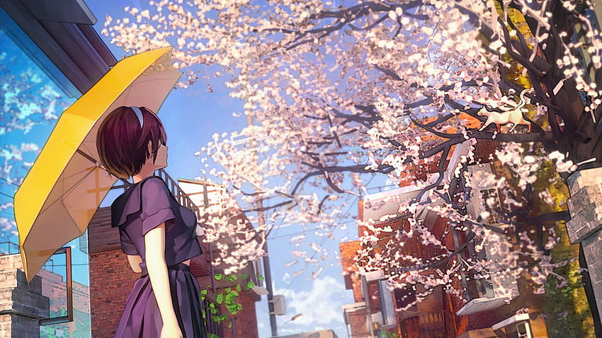 2560x1440 Cherry Blossom, Sakura Petals, Anime School, anime spring Sfondo HD