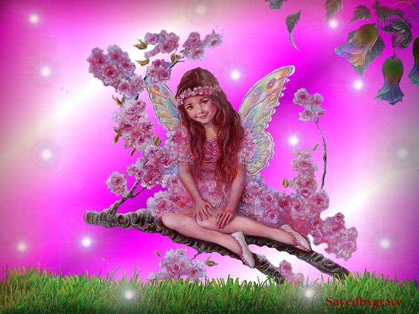 There are fairies at the bottom of our garden!, beautiful fairy HD wallpaper