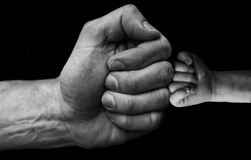 Hands, Fists, Baby, Son, Dad, Greeting, father hands HD wallpaper