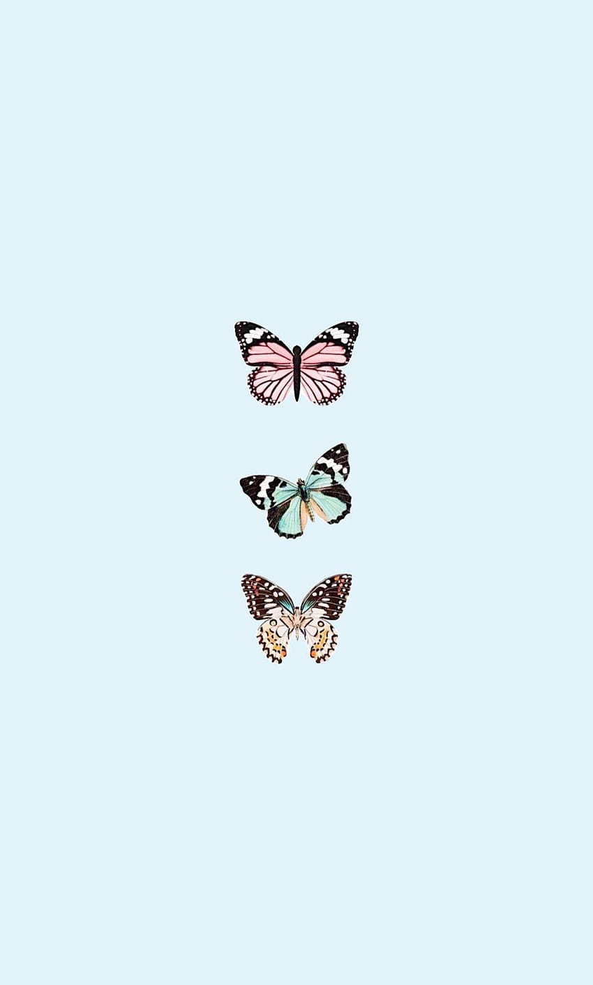 пеперуда babyblue естетика, бебешко синя естетика HD тапет за телефон