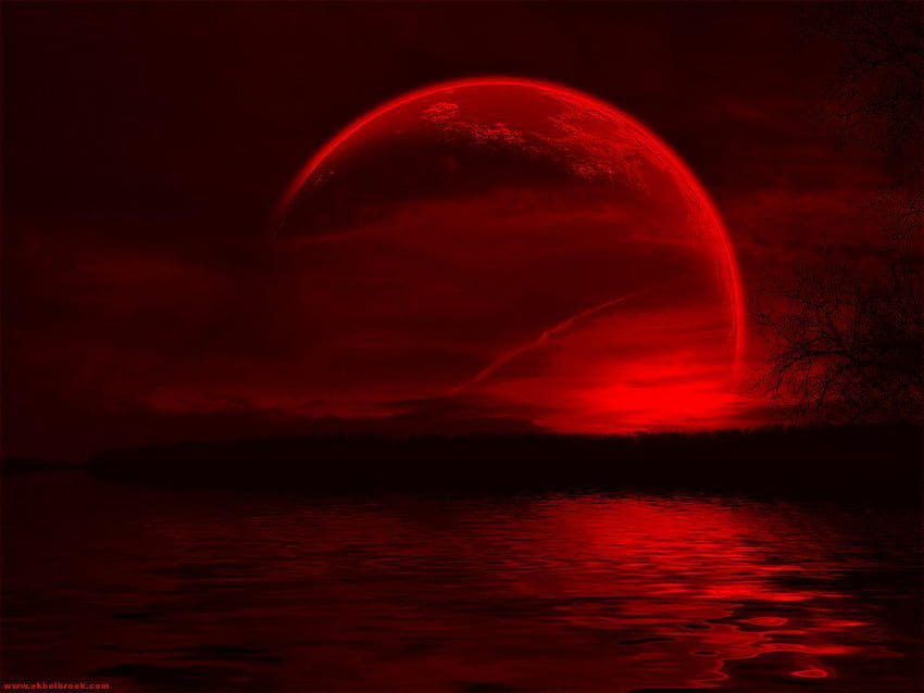 Blood Moon, red moon HD wallpaper | Pxfuel