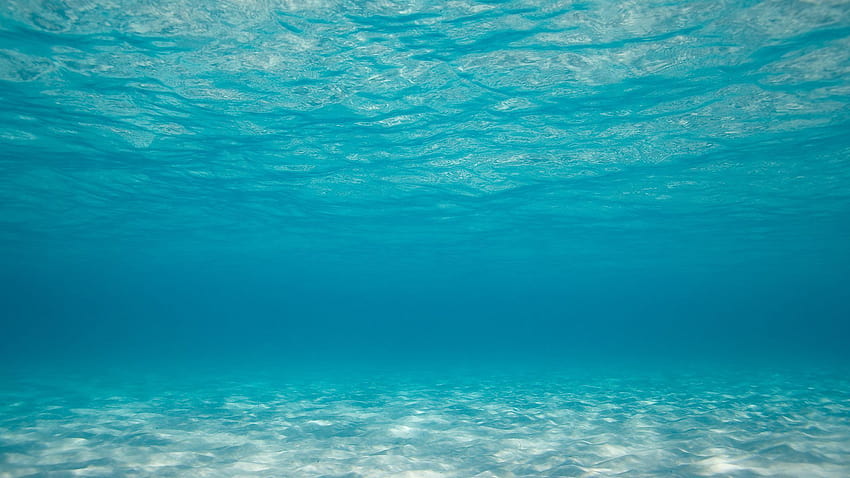 จุดที่ลึกที่สุดในมหาสมุทรคือร่องลึกก้นสมุทรมาเรียนา ซึ่งตั้งอยู่ในมหาสมุทรแปซิฟิก… ร่องลึกก้นสมุทร วอลล์เปเปอร์ HD