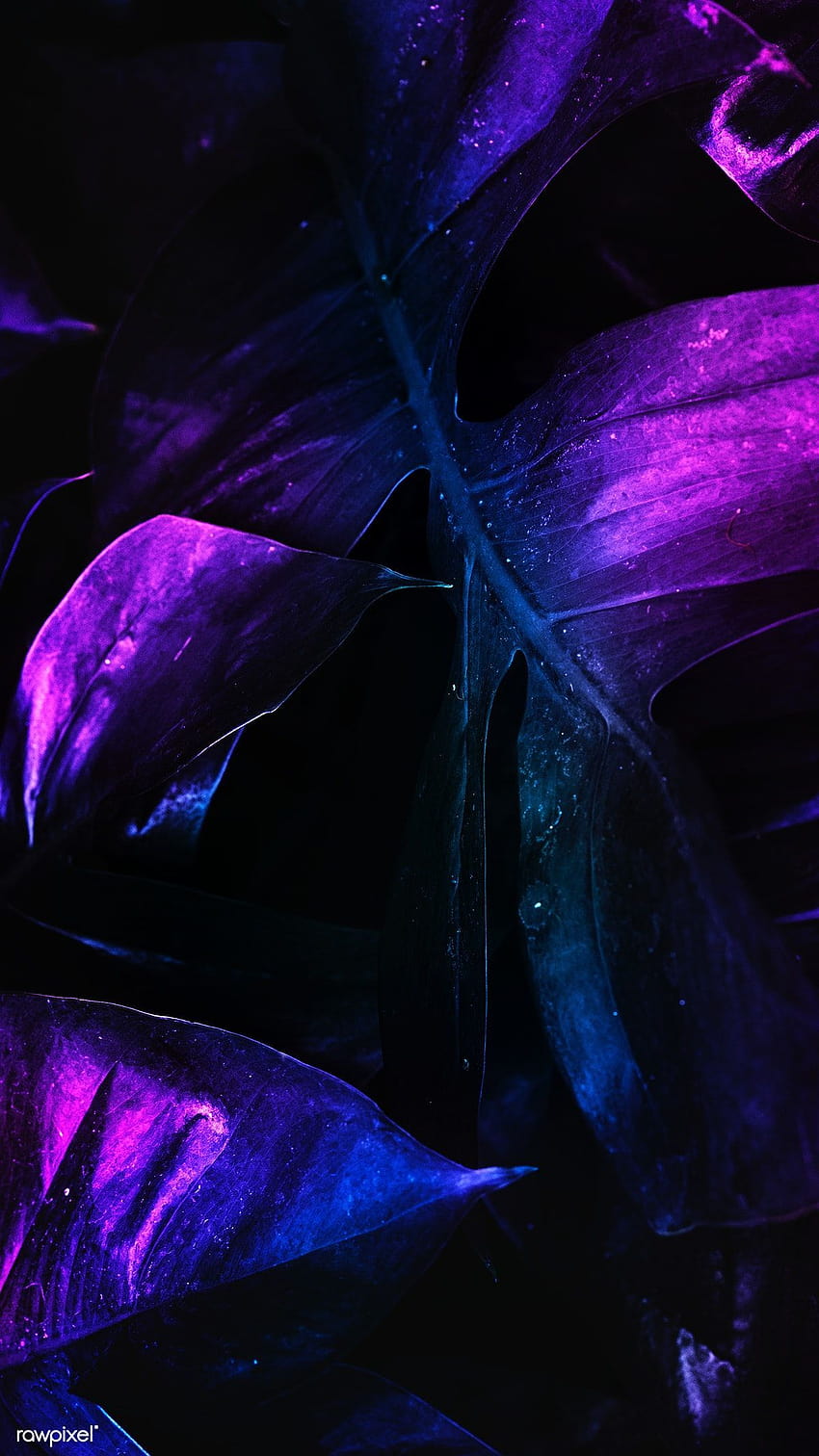Banner de follaje de selva tropical de neón, bosque de neón fondo de pantalla del teléfono