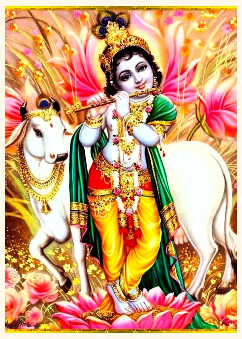 Lord krishna family mobile HD phone wallpaper | Pxfuel