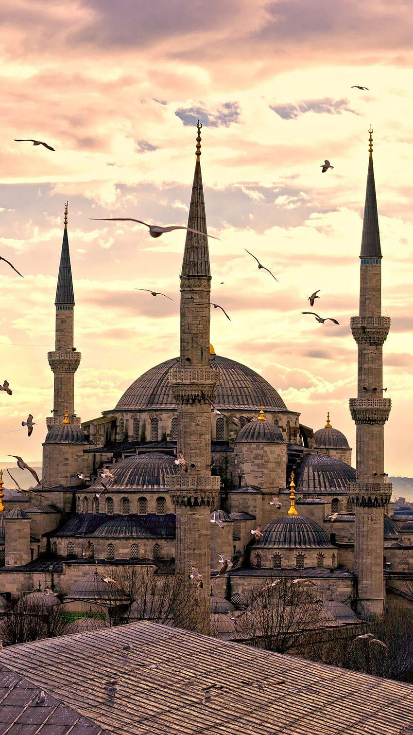 술탄아흐멧 모스크 이스탄불 터키 퓨어, 이스탄불 아이폰 HD 전화 배경 화면