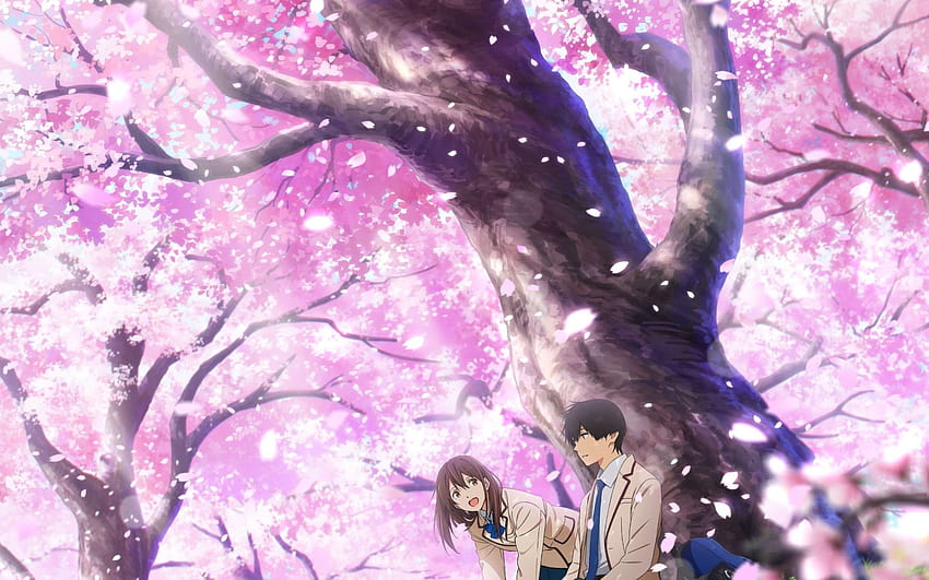 Anime I Want To Eat Your Pancreas Sakura posted by Zoey Tremblay HD wallpaper