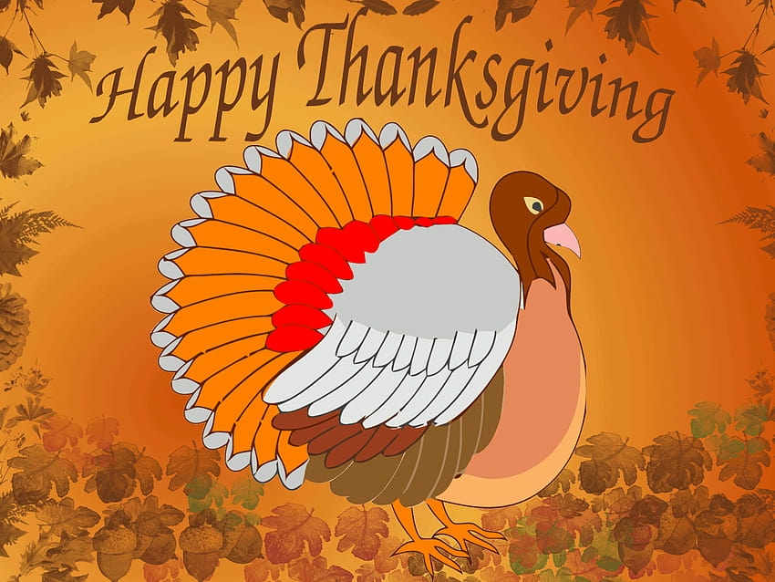 3D Turkey, thanksgiving fair HD wallpaper