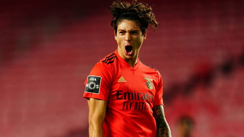 Future Star Spotlight: Benficas Rekordverpflichtung Darwin Nunez erweist sich als jeden Cent wert HD-Hintergrundbild