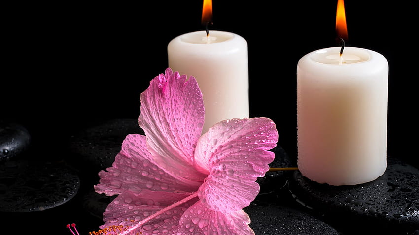 White candles, fire light, hibiscus flower, water drops, flowers and ...
