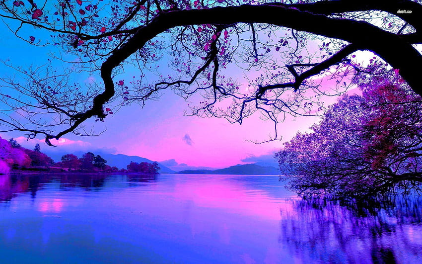 purple beach sunrise