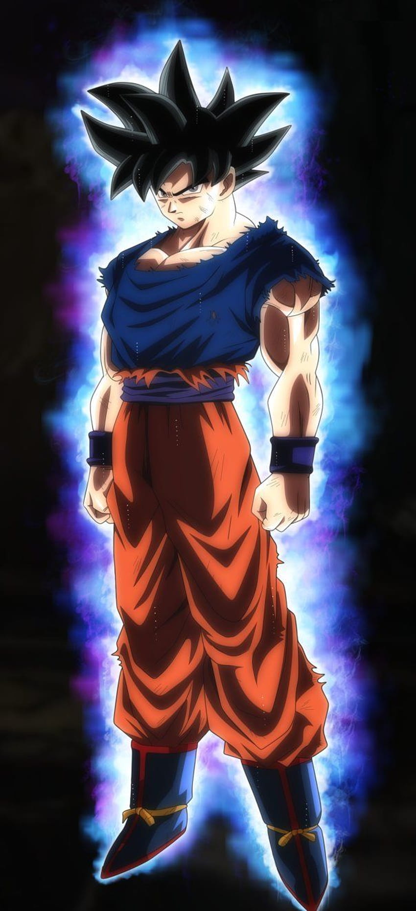8 Goku Ultra Instinct on ... afari, goku ultra instinct full body HD phone wallpaper