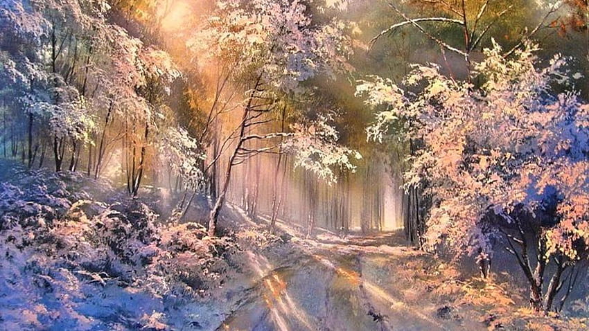 SUNNY WINTER DAY IN THE FOREST 45874 HD wallpaper