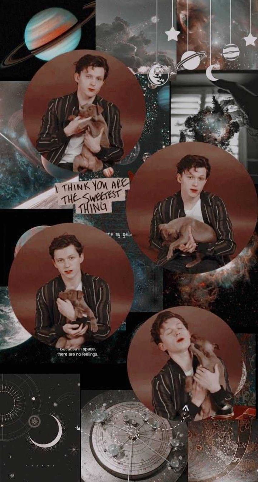 Tom Holland Collage Computer Trying to figure out hop so i can make some more edits collages the new gq hoot has me quaking, love villages HD phone wallpaper