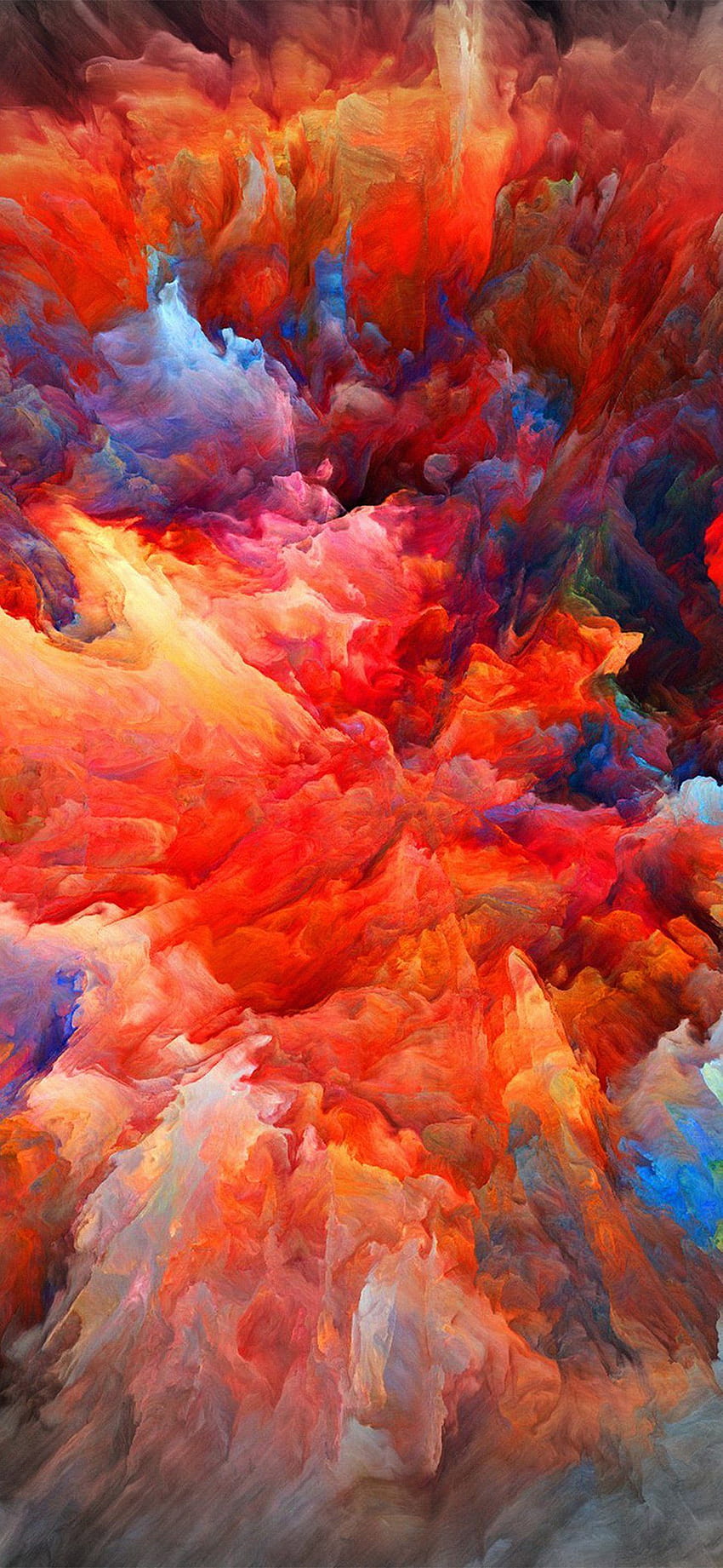 Supreme Blast on Dog, bright color explosion HD phone wallpaper