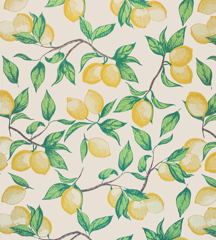limão, planta, padrão, botânica, flor, ramo Papel de parede de celular HD