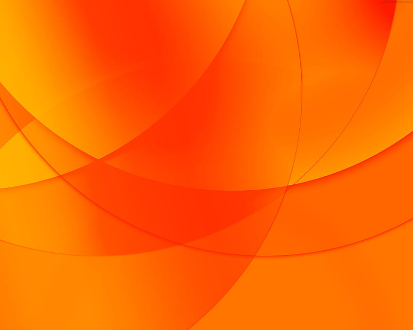 Група оранжеви фонове, неоново оранжево дърво HD тапет