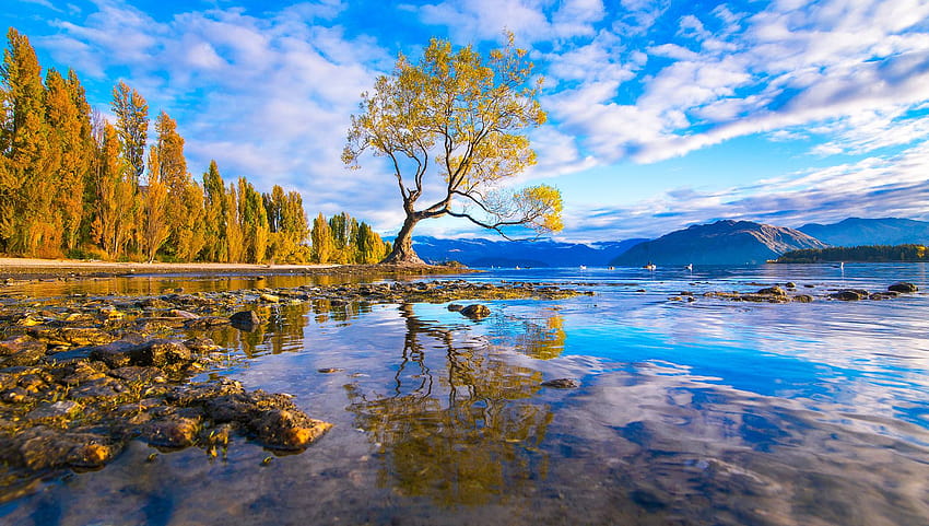 Езеро Уанака, Нова Зеландия [1920x1080] :, езеро в Нова Зеландия HD тапет