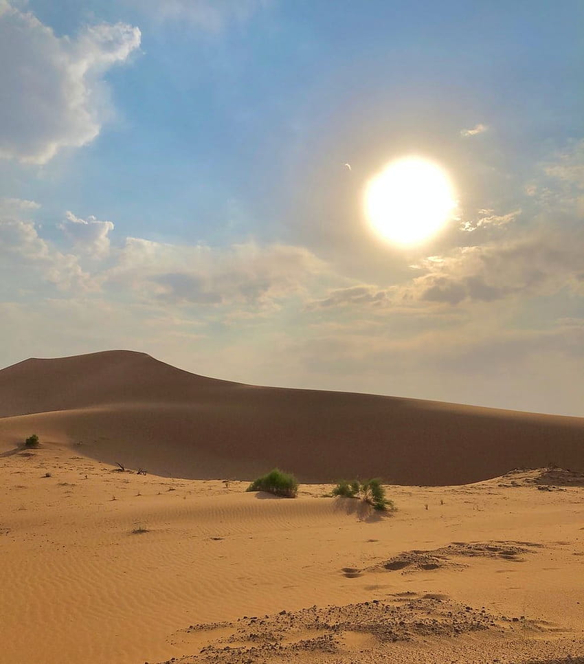Arabian Desert HD phone wallpaper
