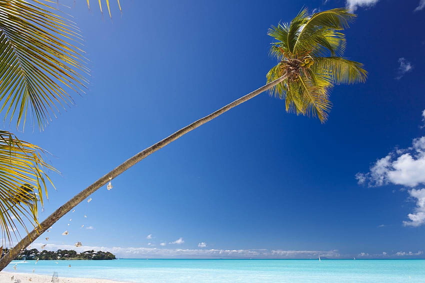 Diplomat Travel Günstige Flüge Hotels Luxusurlaub in Barbuda HD-Hintergrundbild