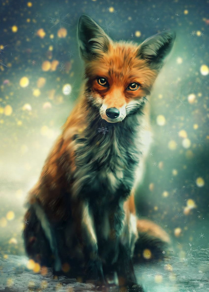 Mr Fox' Poster by Claudia McKinney, fox drawings HD phone wallpaper