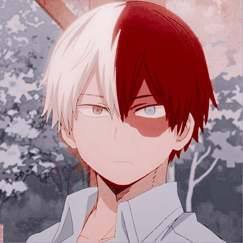 Pin on my hero academia, emo todoroki HD phone wallpaper | Pxfuel