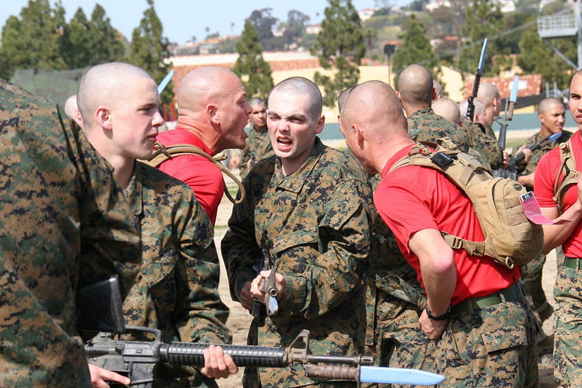 Can You Hear Me Now? 29 Pics Of Marine Drill Instructors Yelling At New Recruits HD wallpaper