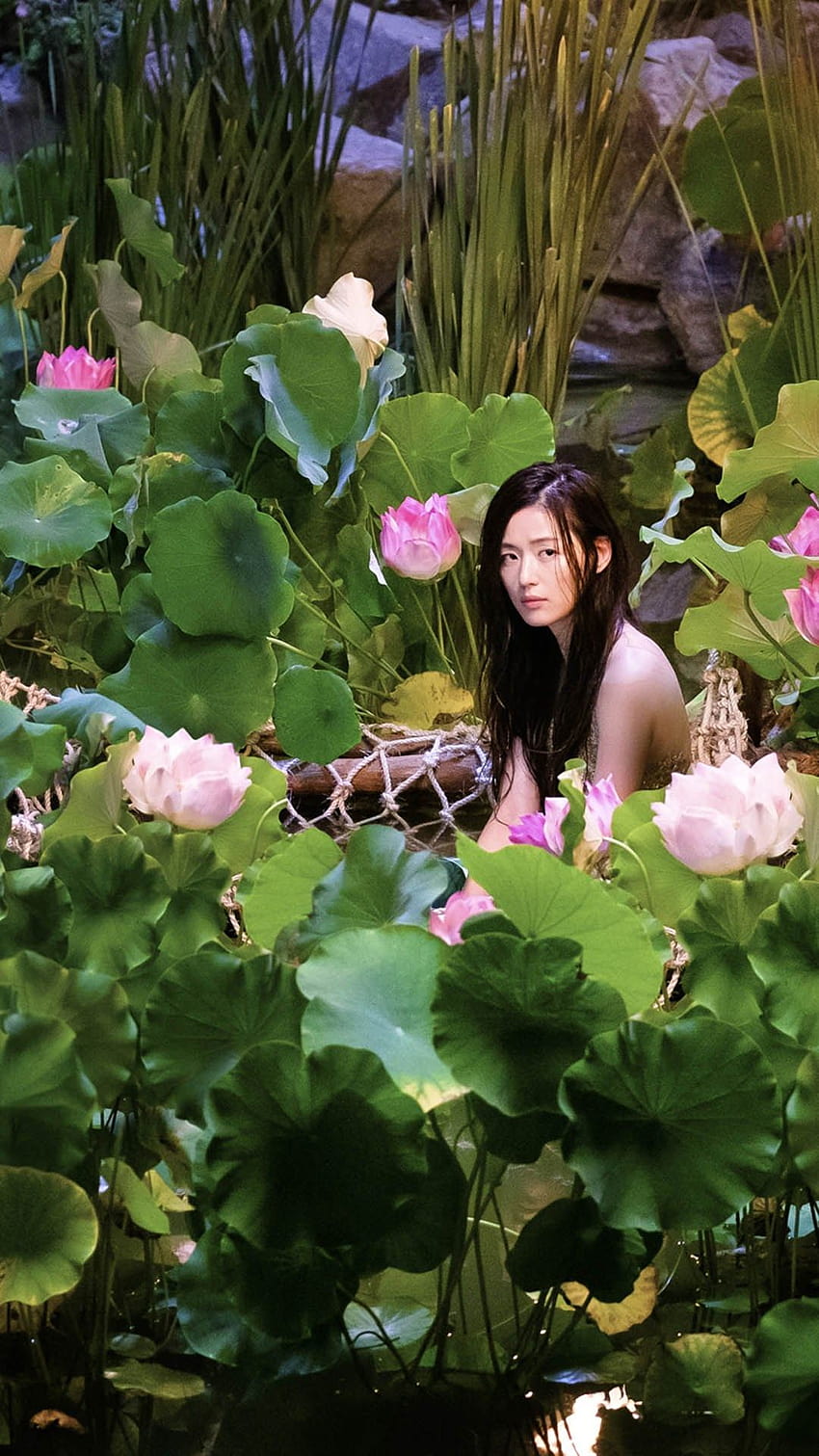 The Lengend Of The Blue Sea Mermaid Beauty Lotus Field iPhone 8, die Legende des blauen Meeres HD-Handy-Hintergrundbild