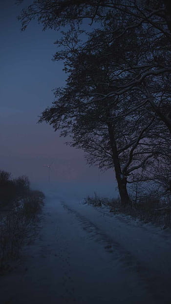 Dark Winter Pictures  Download Free Images on Unsplash