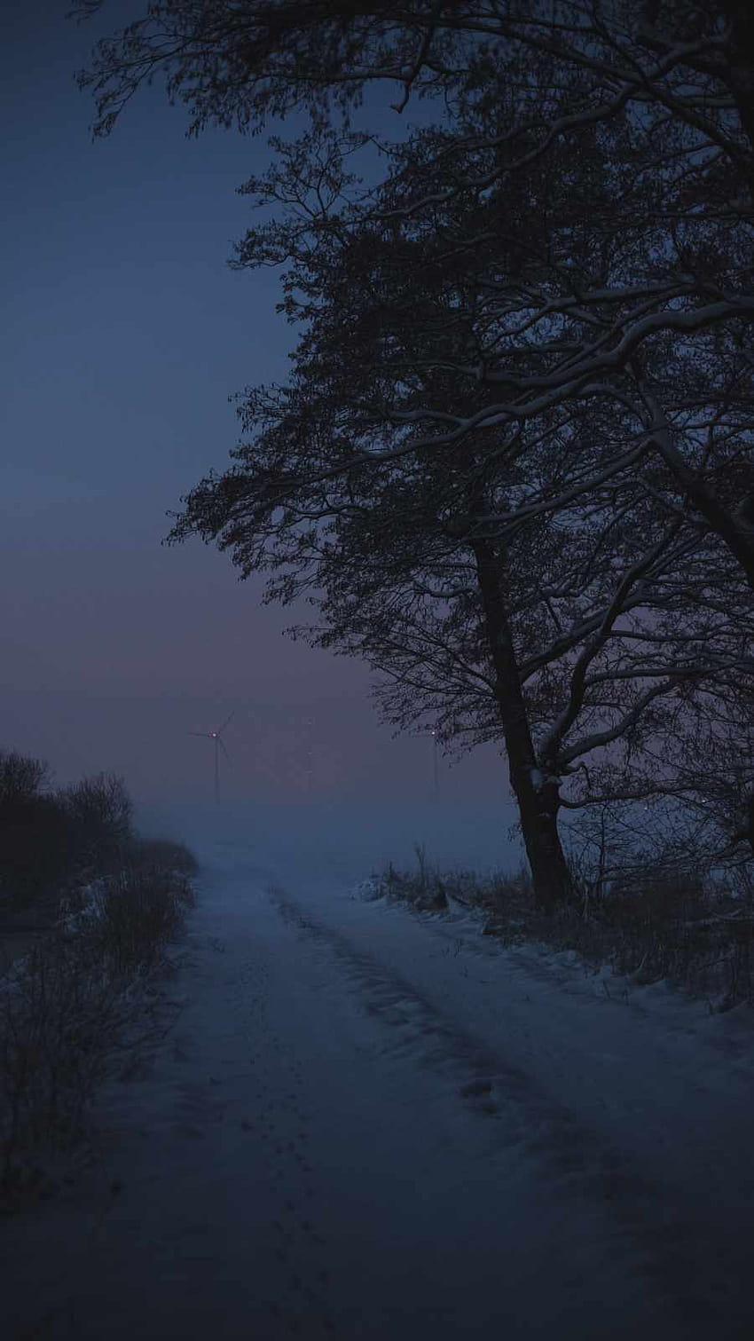 Wintermorgennebel IPhone, winterliches dunkles iPhone HD-Handy-Hintergrundbild