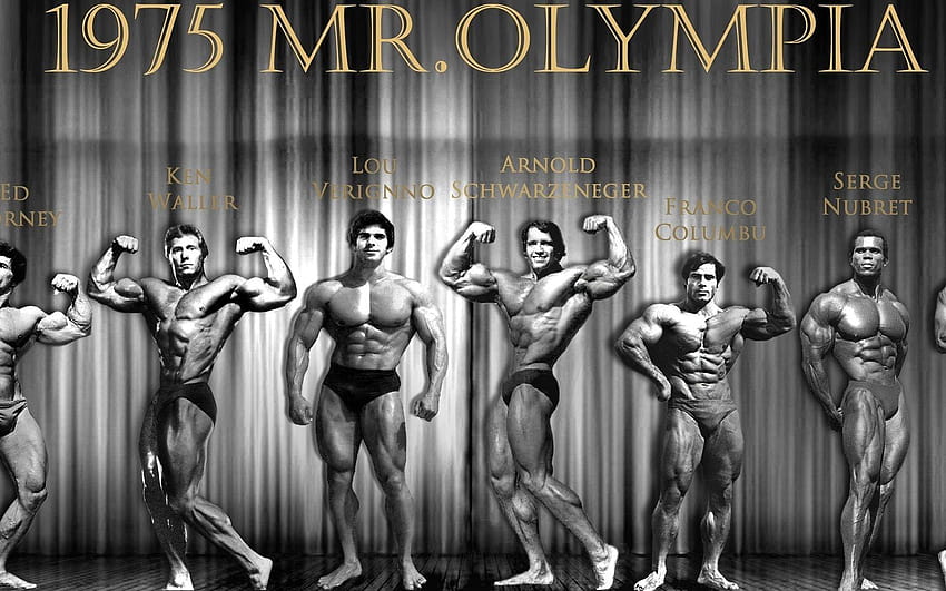 1680x1050 Arnold Schwarzenegger, Serge Nurbet, Franco Columbu, Lou, olympia  HD wallpaper | Pxfuel