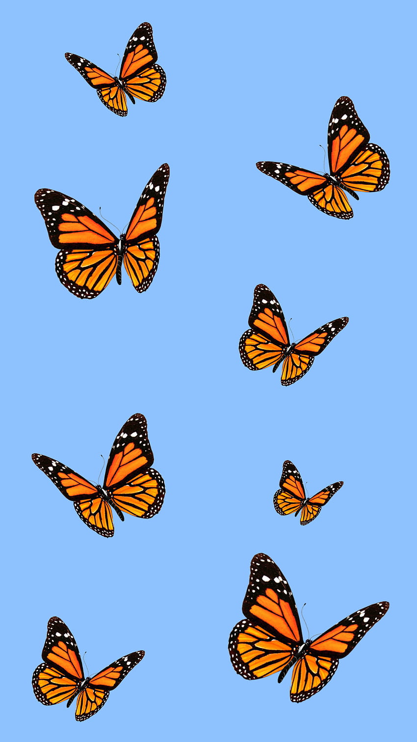 motyl monarcha, motyl vsco Tapeta na telefon HD