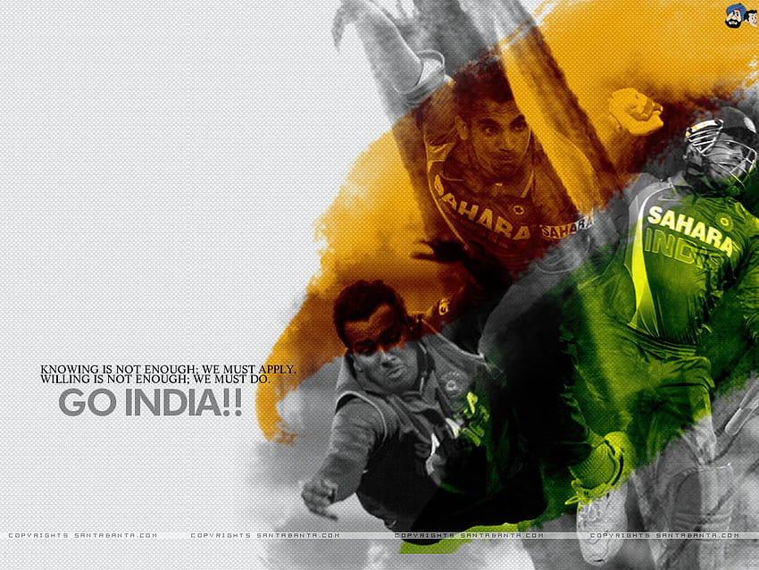 T20 Cricket World Cup, t20 world cup HD wallpaper