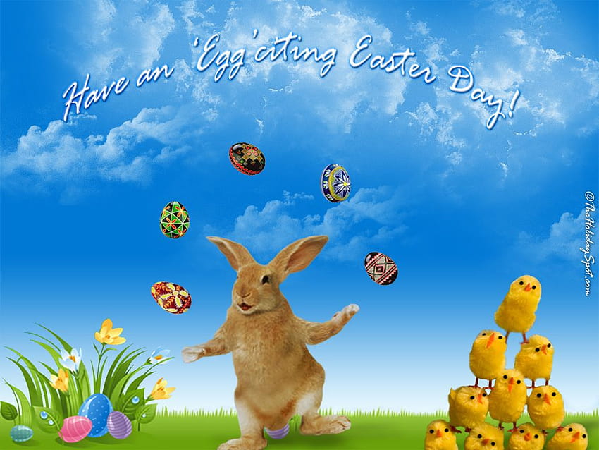 Simpatico coniglietto pasquale Buona Pasqua, animali pasquali Sfondo HD
