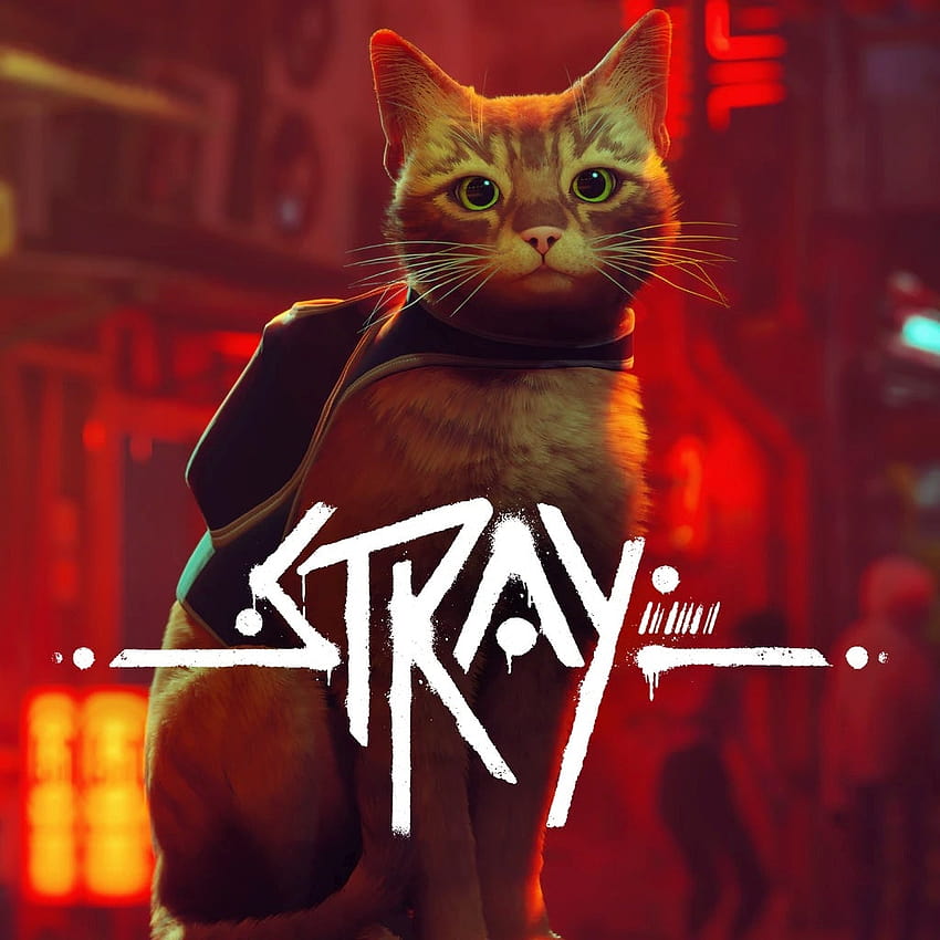 Stray, Cyberpunk Cat Game за PS5, получава дата на издаване, бездомна игра HD тапет за телефон