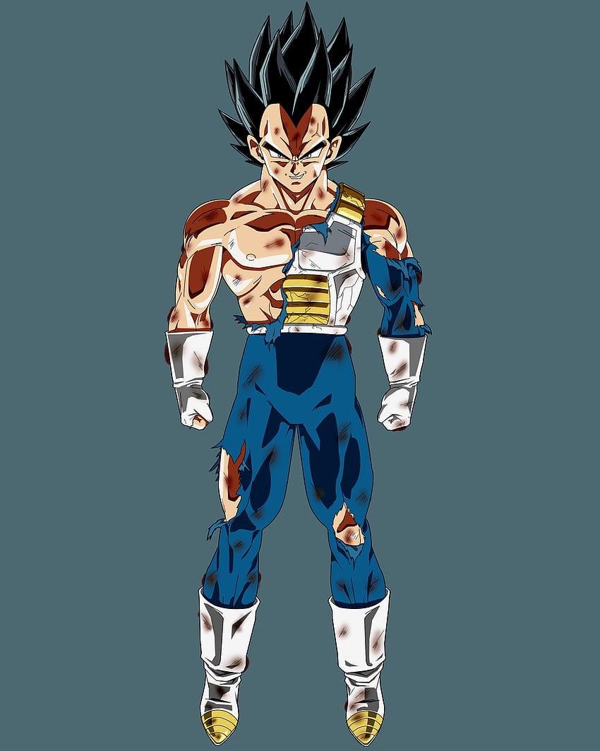 Ultra Ego Vegeta – This1Guy Studios