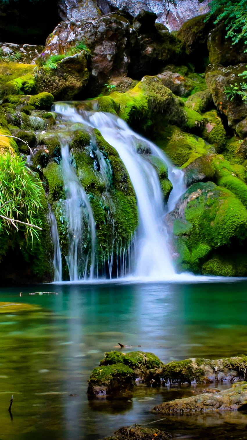Покрити със зелени скали със зелени дървета между природата на водопада, мобилен телефон със зелена природа HD тапет за телефон