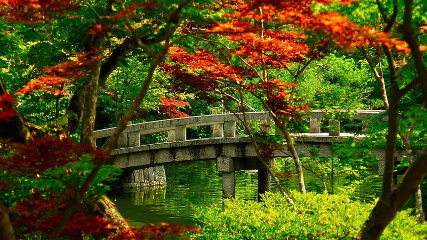 7 日本の風景、秋の禅庭 高画質の壁紙