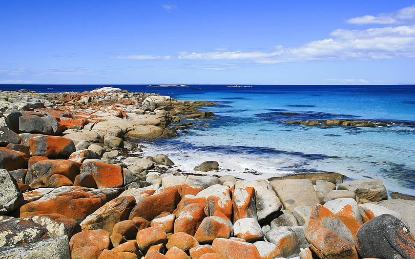 Freise Bay, costa, mar, Tasmânia, Austrália com resolução 3840x2400. Alta qualidade papel de parede HD