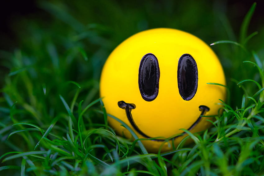 Boule emoji jaune, herbe, macro, sourire, smiley, plante, fermer, boule smiley Fond d'écran HD