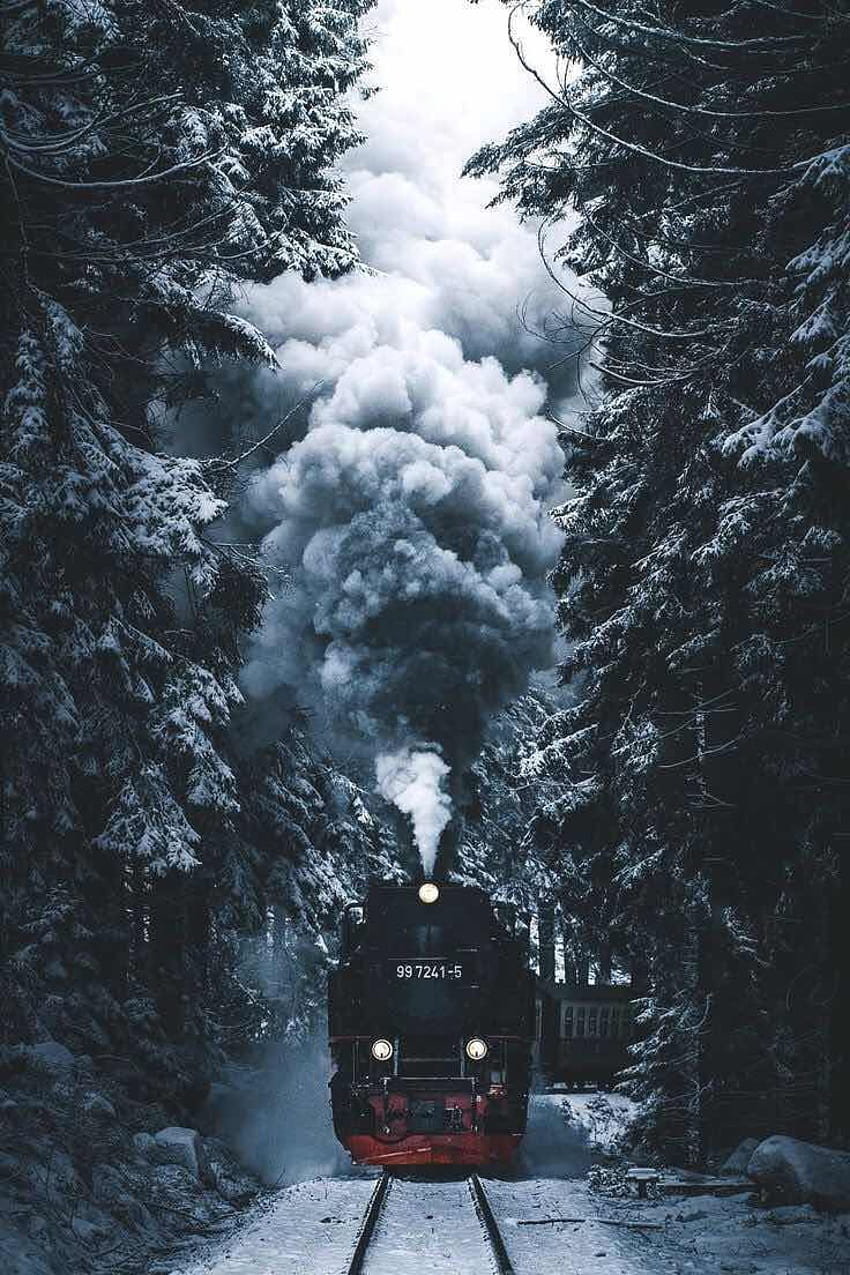 Winter Train Wallpaper | Wallsauce CA