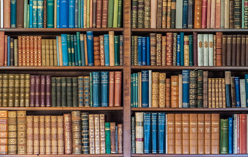 A shelf of books, sorted HD wallpaper