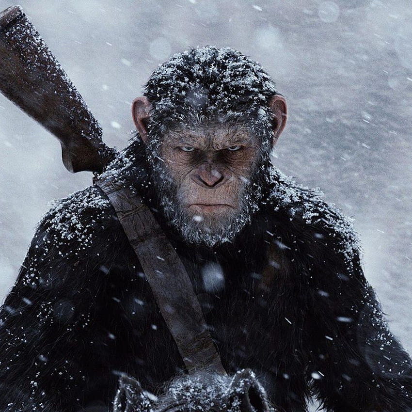 New 'Planet of the Apes' Director Describes Movie as Next, planet of the apes films HD phone wallpaper