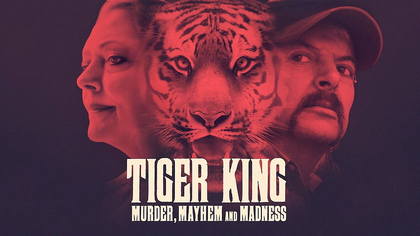 Tiger King season 2: Release date and what happens next, tiger king murder mayhem and madness HD wallpaper