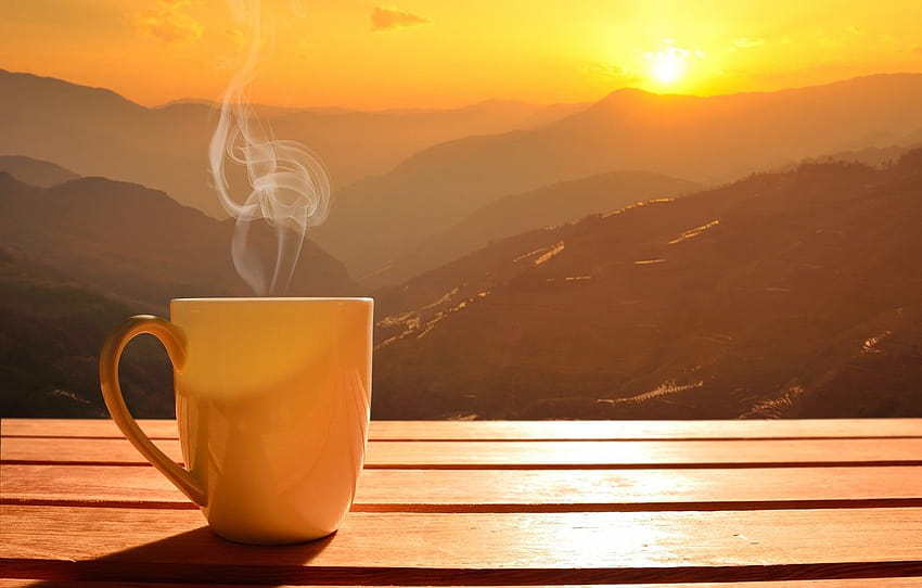 the sun, dawn, coffee, morning, Cup, hot, coffee cup, coffe summer HD wallpaper