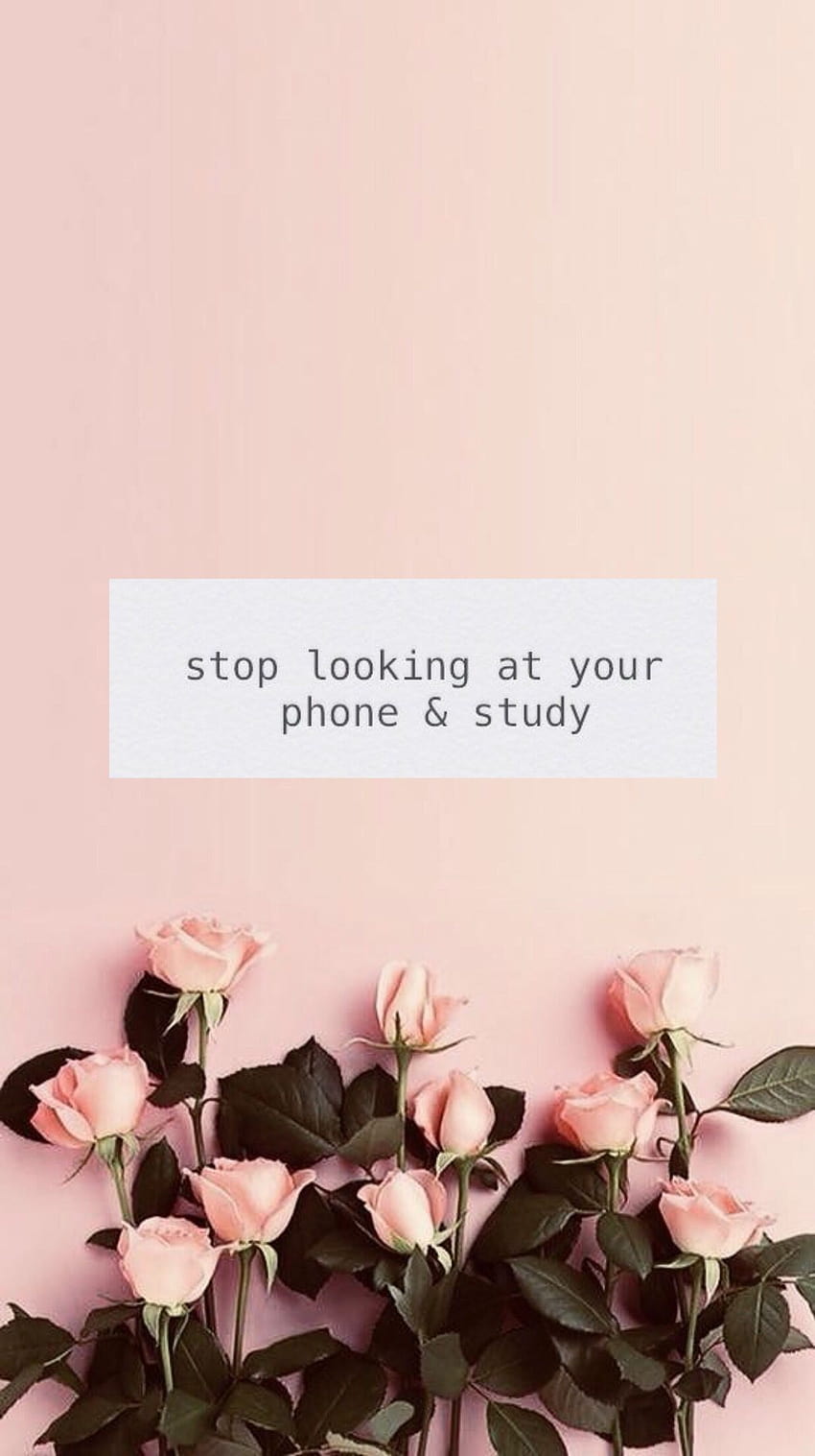 공부동기, 최고의 공부 모바일 Hd 전화 배경 화면 | Pxfuel