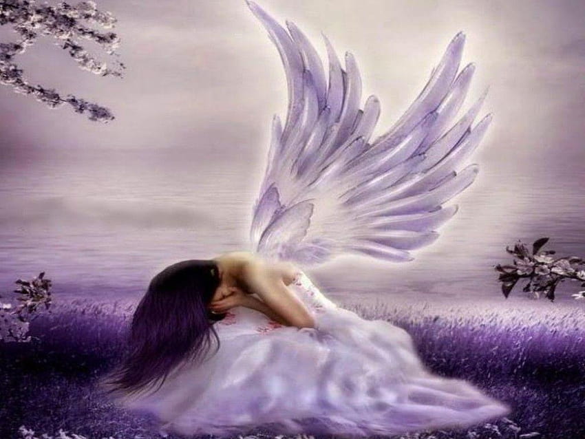 Interpretation Of A Dream In Which You Saw Angel Cute Dream Angle Hd